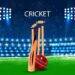 Cricket Fantasy Sports Platforms: Why Are They Beneficial?