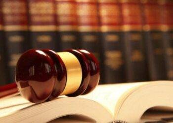 Which Law is the Best to Study?