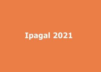 Why You Should Never Download Or Stream Movies From Ipagal.com