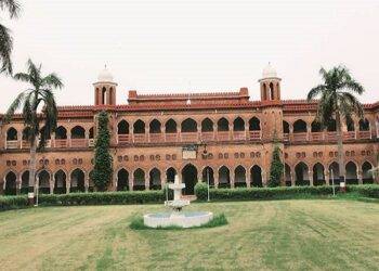 How to Use AMU Full Form in College