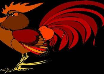 WPC Wall Paneling – How to Register For WPC2027