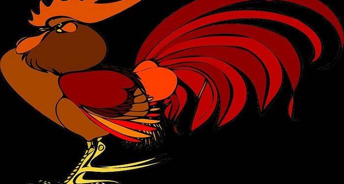 WPC Wall Paneling – How to Register For WPC2027