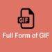 What is the GIF Full Name?