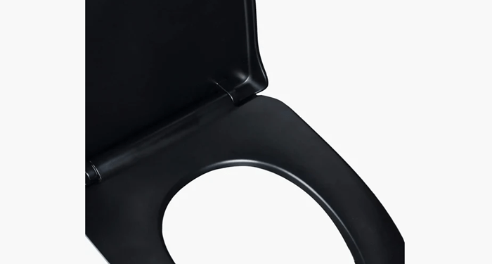 From Function to Luxury: The Smart Technology Behind Bidet Toilet Seat