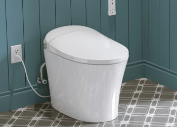 Top Reasons Why the Horow T15 is the Best Toilet with Built-in Bidet for Your Home