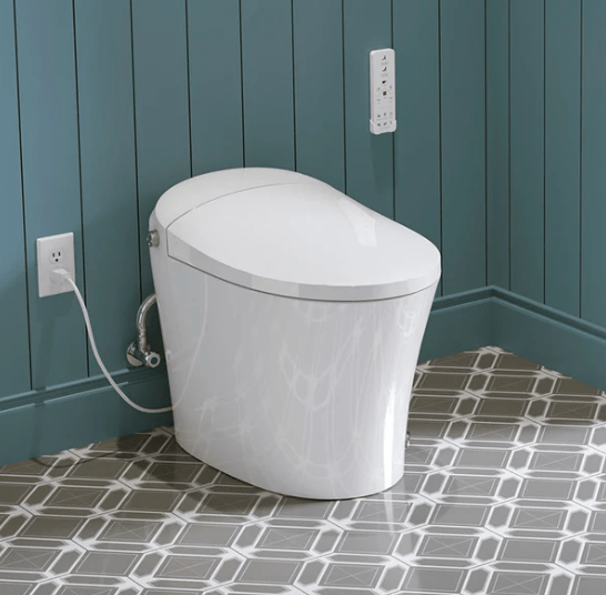 Top Reasons Why the Horow T15 is the Best Toilet with Built-in Bidet for Your Home
